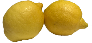 limoni in vendita| shop online Acquista qui!