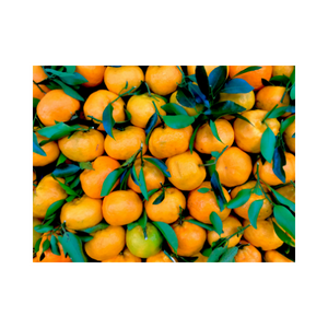 Clementine senza semi | Acquista qui su aranceshoponline.it